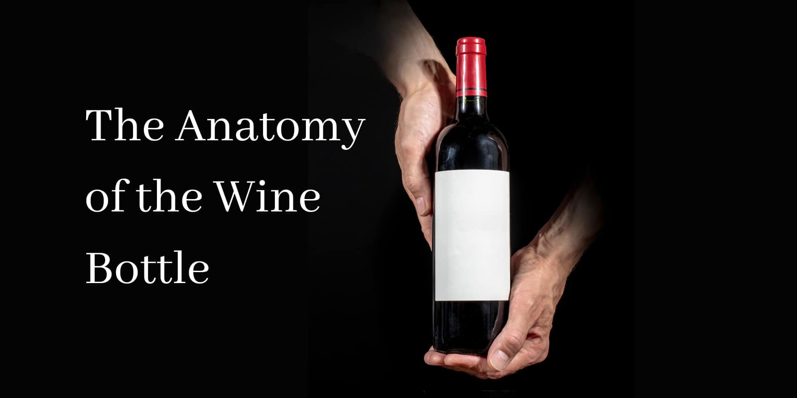 The Anatomy of the Wine Bottle - Cork and Crystal