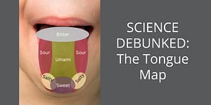 The Tongue Map Debunked